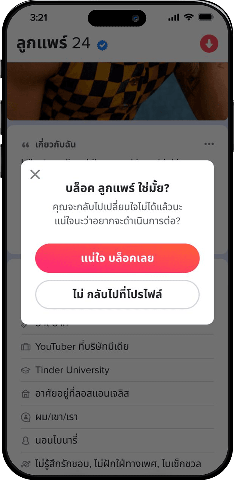 บล็อคโปรไฟล์